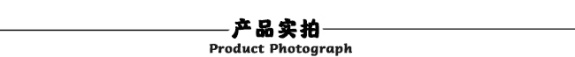 SGTG-預置扭矩扳手